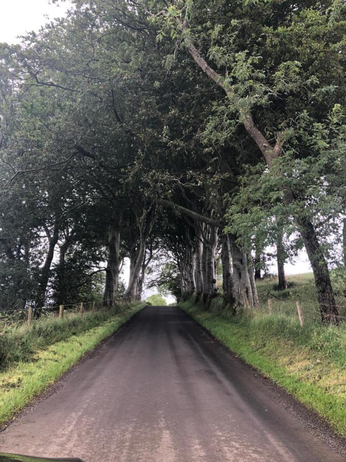 Den @ The Dark Hedges Appartamento Stranocum Esterno foto